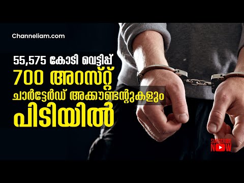 55,575 കോടി വെട്ടിപ്പിൽ ചാർട്ടേർഡ് അക്കൗണ്ടന്റുകൾ ഉൾപ്പെടെ പിടിയിൽ, GST evasion of Rs 55,575 Cr.