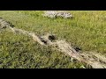 Сгребаем сено трактором МТЗ 82.1