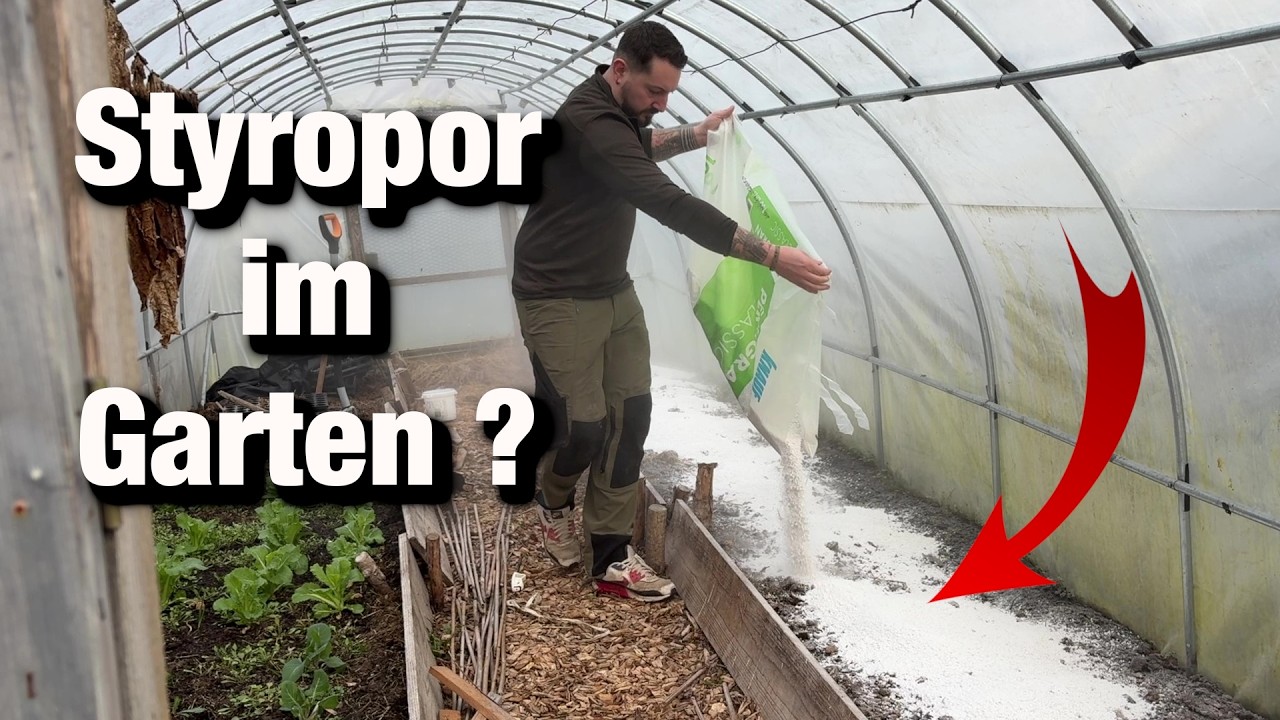 Perlite im Garten: Boden verbessern + Chili, Physalis & Tamarillo Update, Werkzeuge für die Ewigkeit