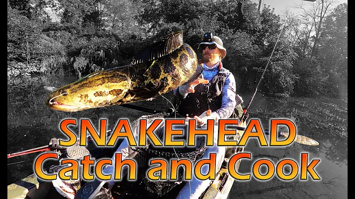 Snakehead Fishing Tips and Catch and Cook: Maryland Snakehead Fishing