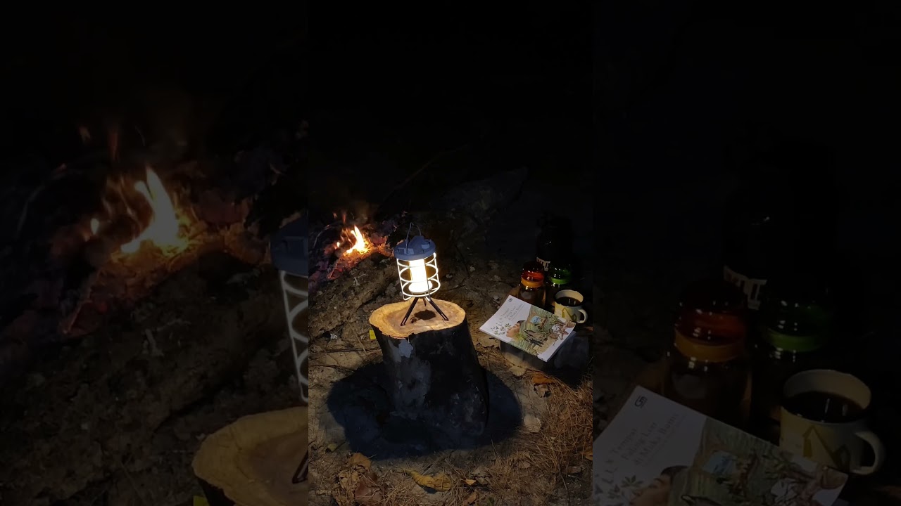 Healing with drink coffee and read book at forest 