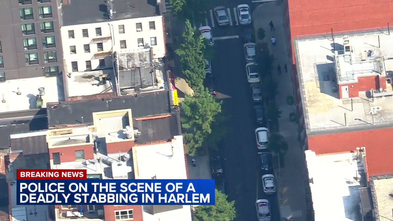 Man stabbed to death in Harlem