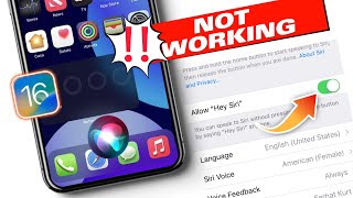 How To Fix Hey Siri Not Working After update iOS 16 || Something went wrong on SIRI