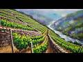Ribeira Sacra y la viticultura heroica   YT