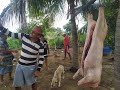 Carne de Porco Caipira No Sitio é Festa com Fartura na Mesa