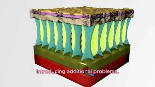 Optical Table Vibration Stabilization