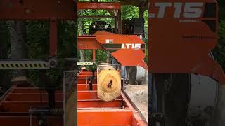 Sawing 3rd Slab from 1st 8ft Poplar Log!