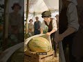 Victorian Melon Wars: Tiny Rivalry, Huge Stakes