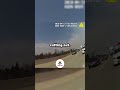 Officer Finds Donkey On An Interstate