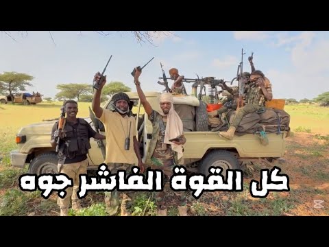 كل القوة الفاشر جوه جيش قوقو السودان اليوم