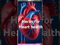 Heart Health Beyond Medicine#hearthealth #healthcaretips #heartcare