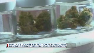 Dual-use license for medical, recreational marijuana proposed
