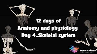 Day 4: Unit 4 Skeletal System | 12 Days of Anatomy & Physiology
