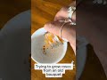Trying To Grow Roses From An Old Bouquet Roses Propagation 