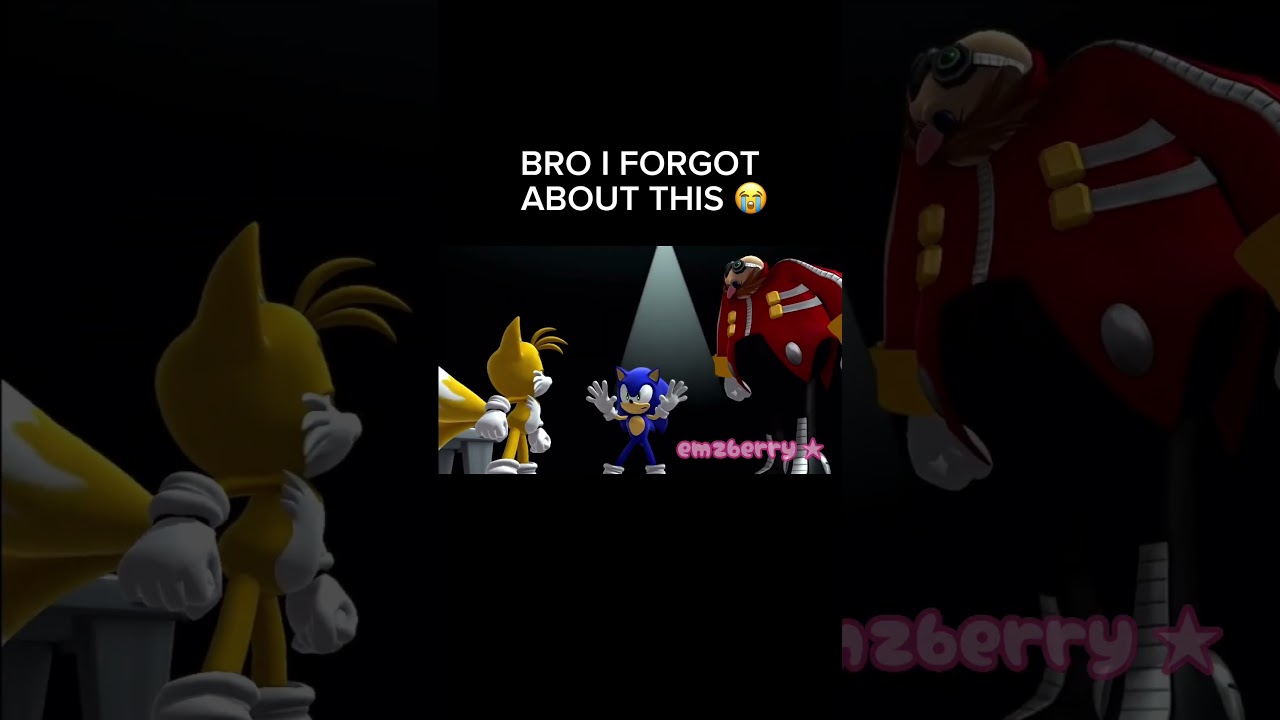 Sonic Games Are Wild 💀 