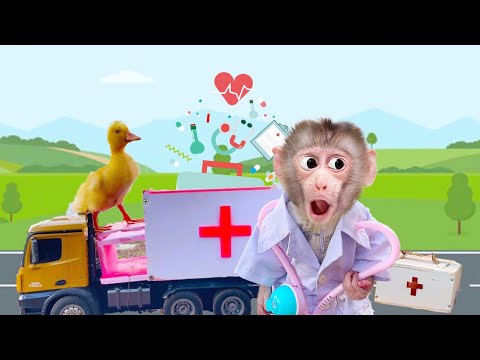 When baby monkey Obi becomes a doctor