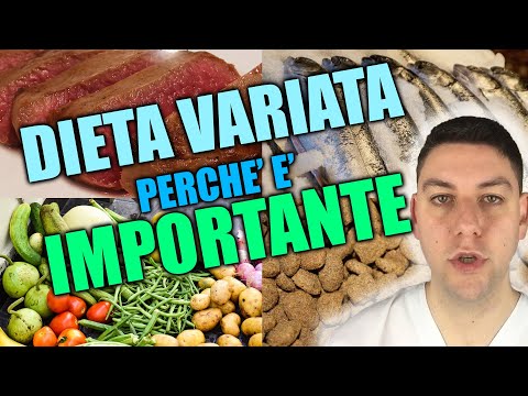 Video: I cani dovrebbero seguire una dieta variata?