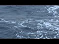 Simms Billfish