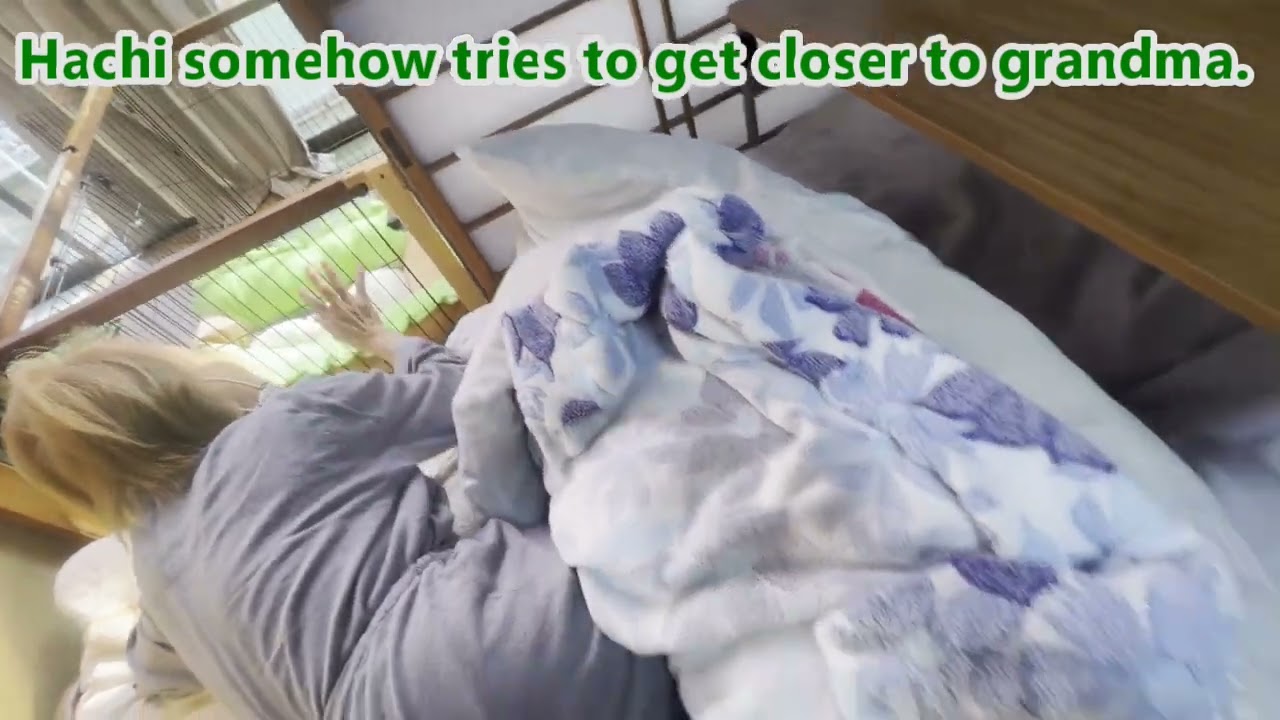 Episode 190 Grandma's Back