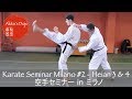 #2 Kata Heian Sandan & Yondan - Seminar in Milano 【空手inミラノ】型平安三段、四段【Akita's Karate Video】