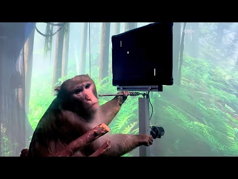 Elon Musk's Neuralink monkey brain demo explained