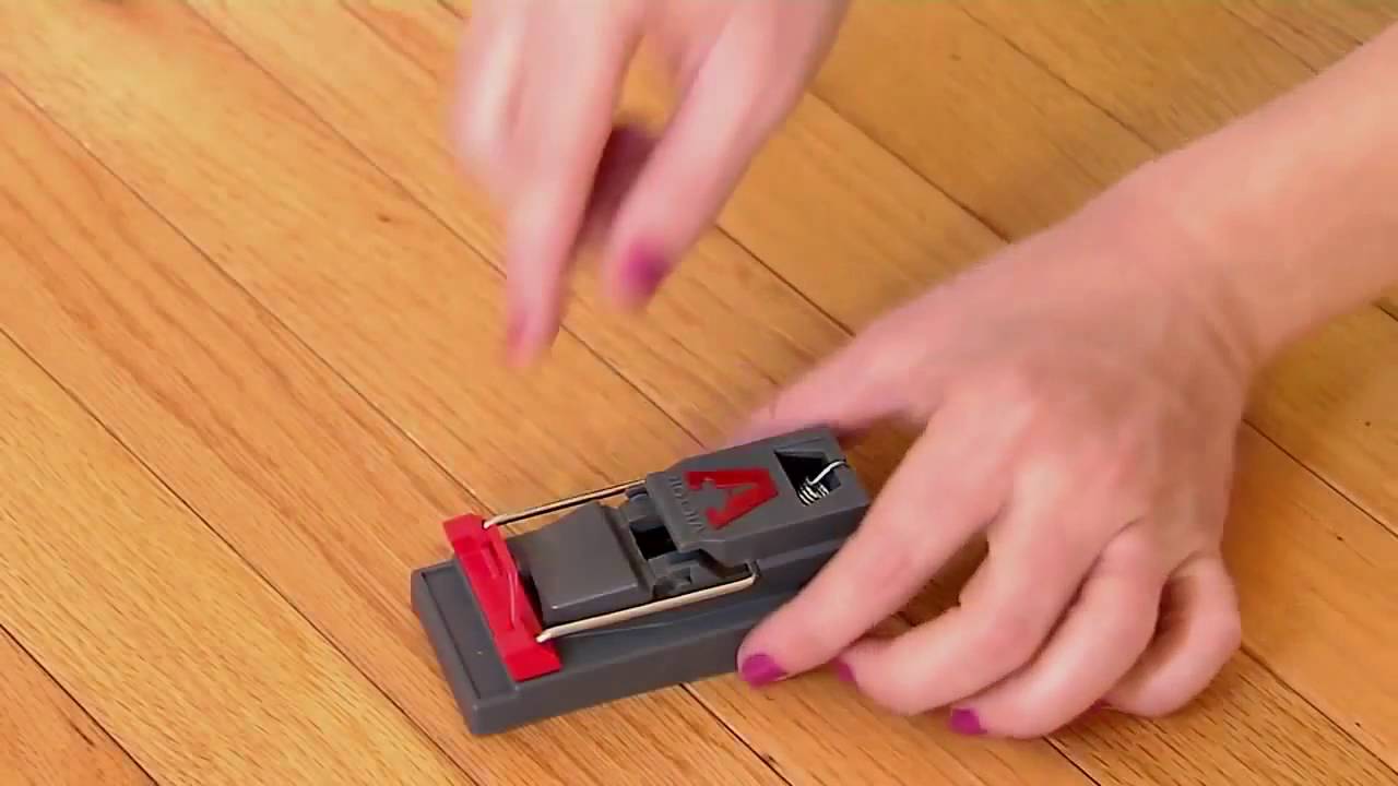 How to use a mice trap, Victor Quick Kill YouTube
