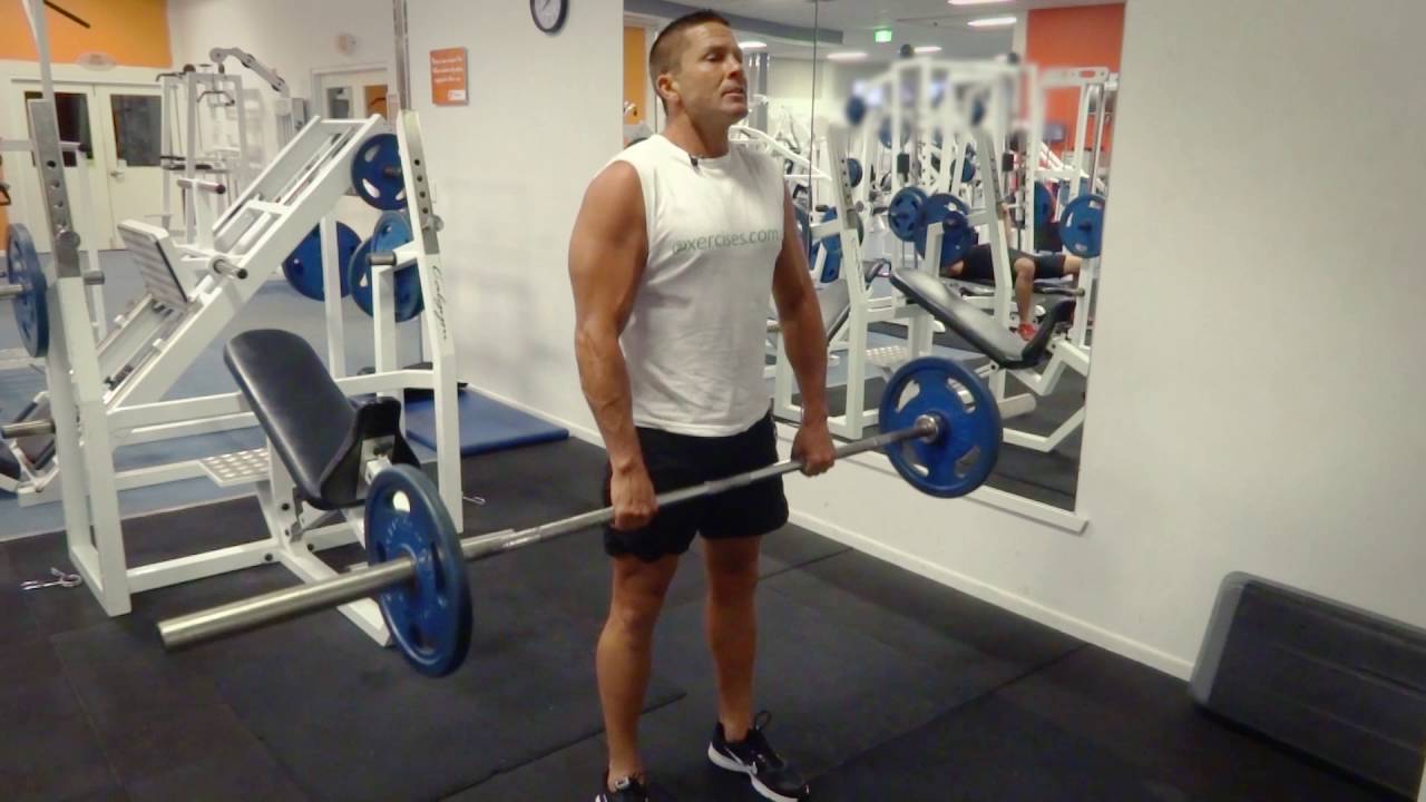 Barbell Shrugs (aka. Shoulder Shrugs) YouTube