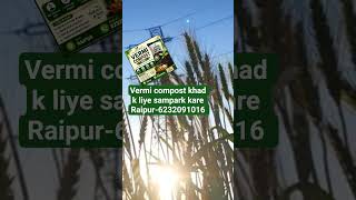 Vermi compost khad liye sampark kare Raipur-6232091016 #compostkhad #wastesegregation #reel #viral