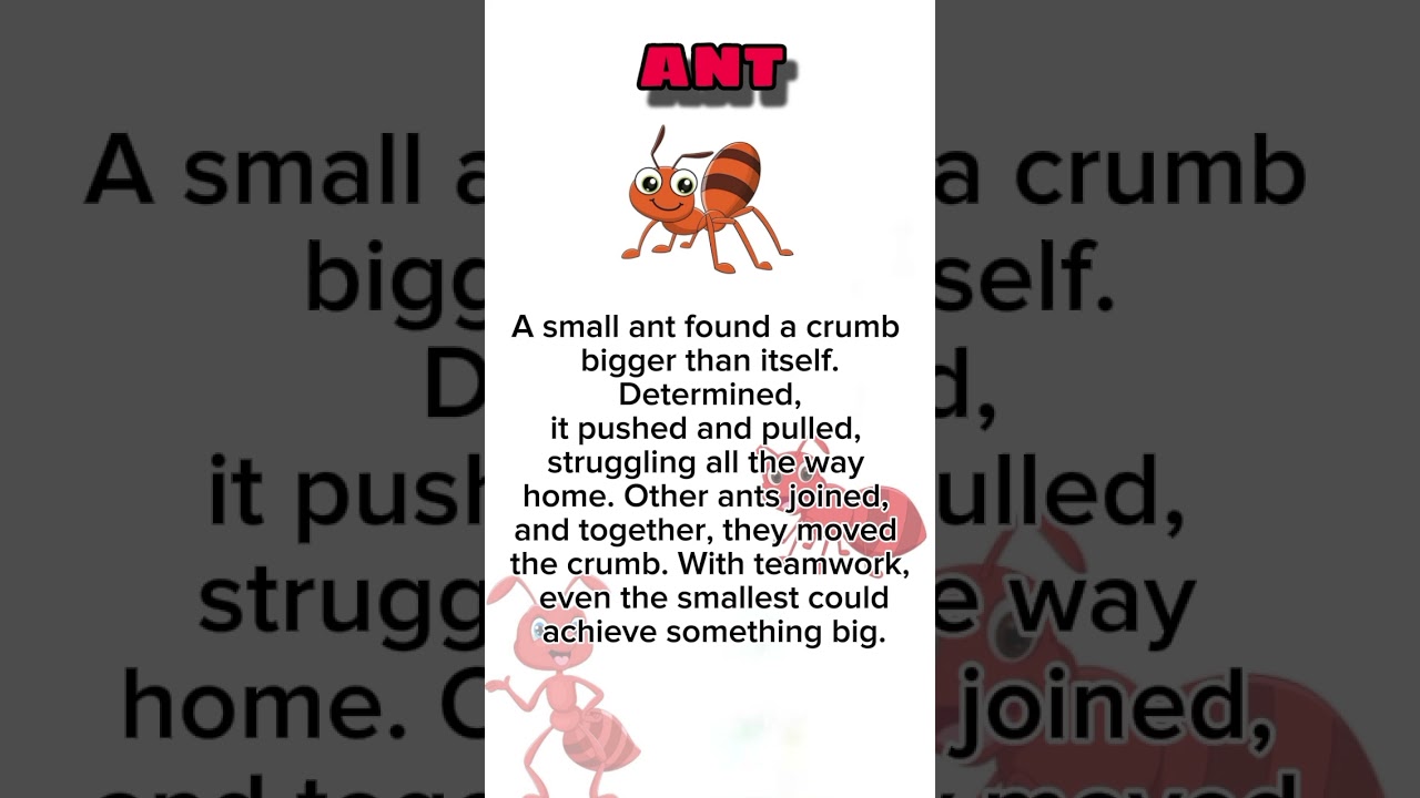 Ant - Education For Kids - Listen For Bed Time.