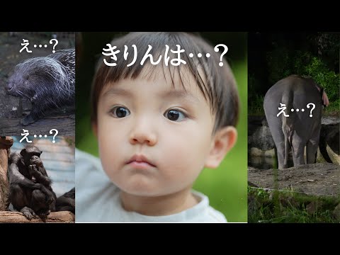 Toddler Food] I went to the zoo with my 2-year-old and he was so