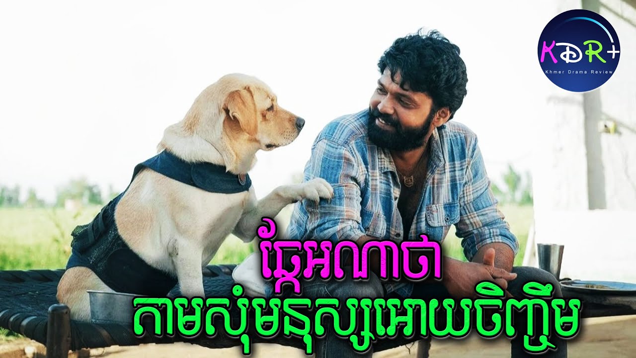 ឆ្កែកំសត់! តាមសុំមនុស្សអោយយកខ្លួនទៅចិញ្ចឹម! | 777 Charlie - សម្រាយរឿង