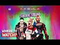 Where To Watch Suicide Squad | Best DC Superhero Action Movie