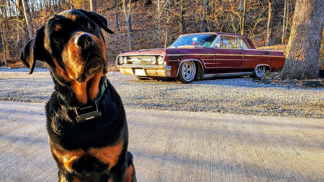 Bagging a 1964 Oldsmobile Dynamic 88 part 2. installing front bags. How to: Bag a lowrider.