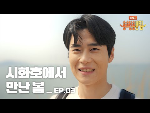 시흥시청 영상 3 썸네일