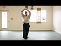 Aikido of amherst  online class 2