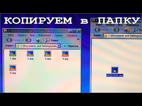 КАК СКОПИРОВАТЬ ФАЙЛ ИЗ ПАПКИ в ПАПКУ
