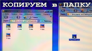 КАК СКОПИРОВАТЬ ФАЙЛ ИЗ ПАПКИ в ПАПКУ