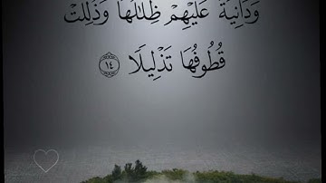 تلاوة في منتهى الهدوء ~ سورة الانسان ~ للقارئ ياسر الزيلعي