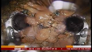 How robots are cleaning up nuclear waste (Japan) - BBC News -  15th February 2019