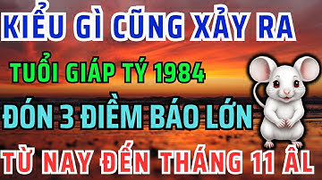Chấn Động Chắc Chắn Điều Này Xảy Ra Với Giáp Tý 1984 Từ nay đến Tháng 11 âm lịch! Bỏ qua lỡ cả đời