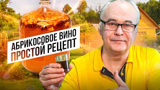 Абрикосовое вино. Вино из абрикосов - простой пошаговый рецепт. Apricot wine.