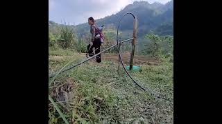 Single Mother Builds a Wooden House & Harvests Leaves | Survival Life Alone