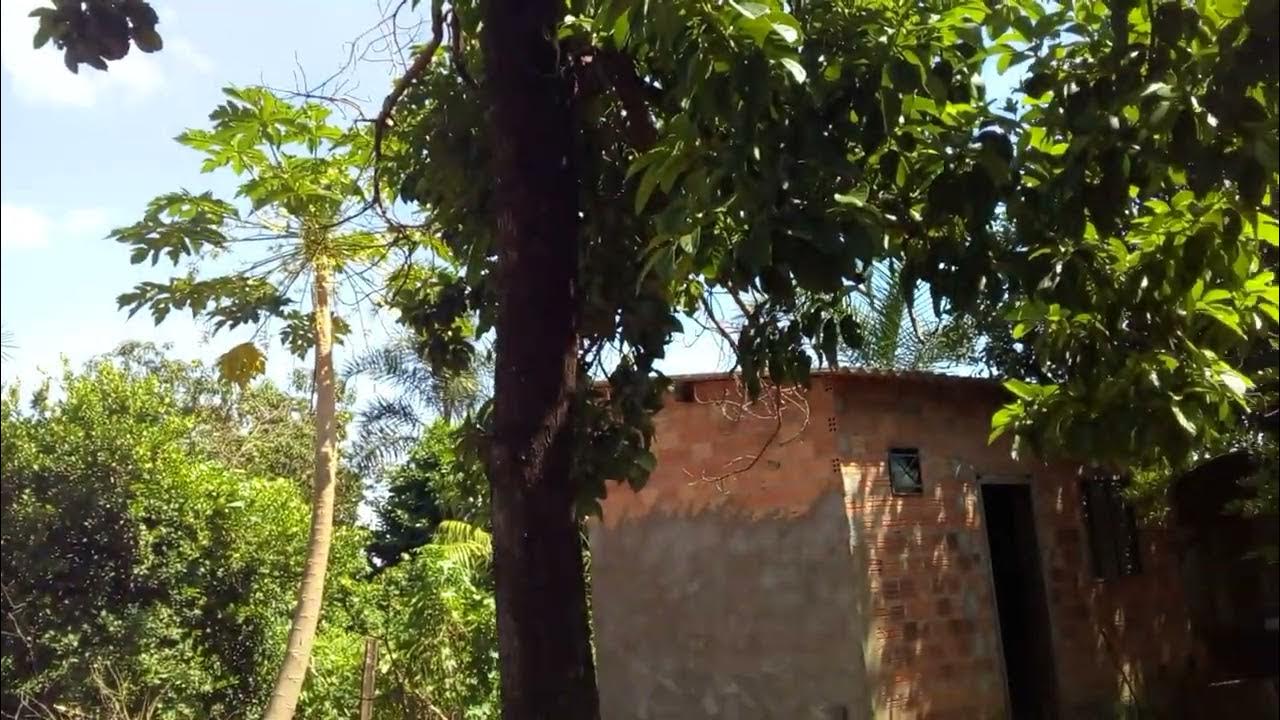 Aldo Governador Alto Boa Vista Mato Grosso YouTube Aldo Governador Alto Boa Vista Mato Grosso YouTube