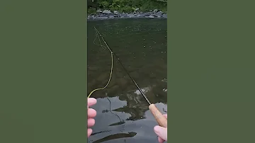 Day ONE Playing Around On The Beaver Kill 
