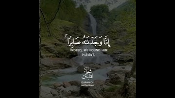 أجمل حالات واتس اب قرآن كريم بصوت رعد الكردي | صوت يريح القلب❤️😴