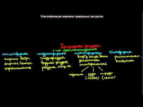 315  Классификация мировых природных ресурсов