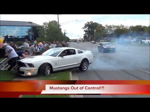 PSOCM Agency Seeks To Pass Bill Banning Mustangs From Car Meets