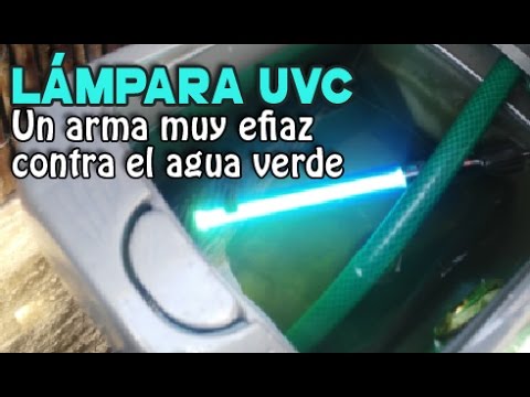 Video: ¿Una luz ultravioleta limpiará mi estanque?