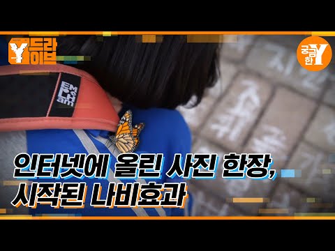 보도블록 SOS로 시작된 나비효과 | Y드라이브