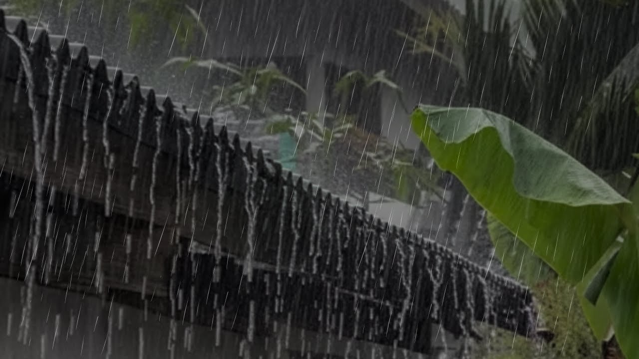 🔴 Heavy Rain To Sleep Immediately -  Deep Sleep with Rain Sounds